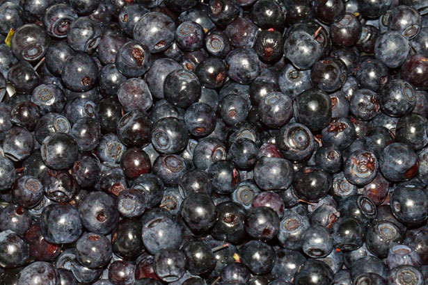 Best Snacks for Truck Drivers